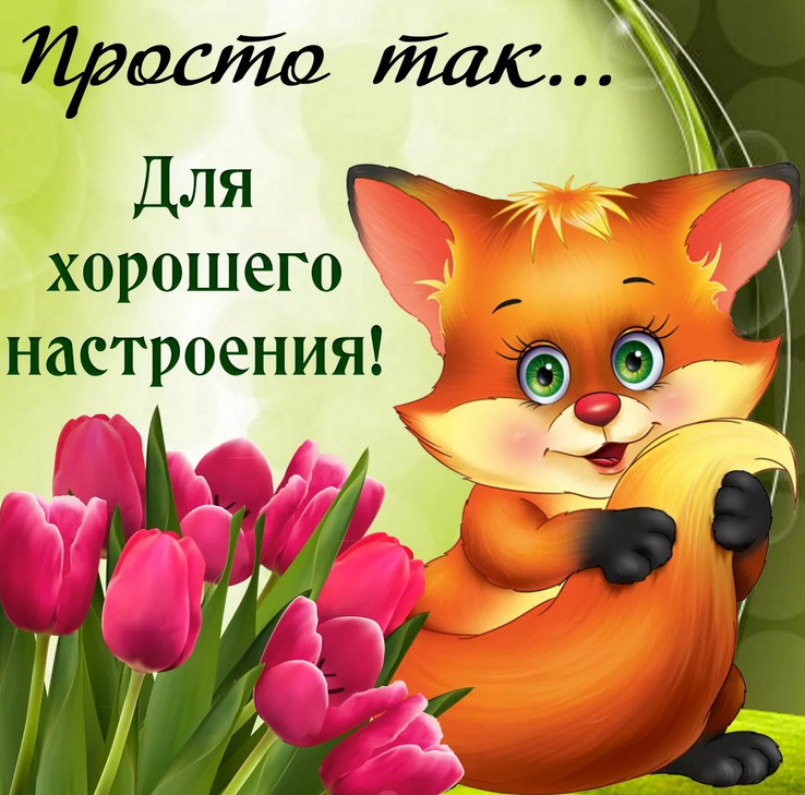 31355215.png.webp.png