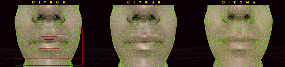 31858717617_d08e2ceab1_o.png.png