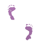 335605511.gif