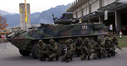 440px-Schweizer_Armee_F%C3%BCs_Gr.jpg.jpeg