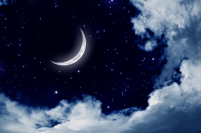 4881141_night_3.jpg.jpeg