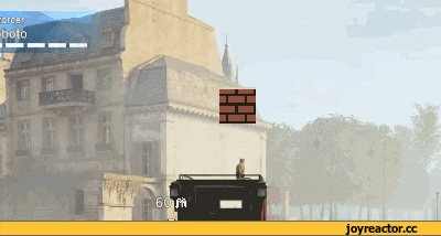 Assassin's-Creed-unity-Assassin's-Creed-%D0%98%D0%B3%D1%80%D1%8B-%D0%BA%D0%BE%D1%82%D1%8D-1500138.gif