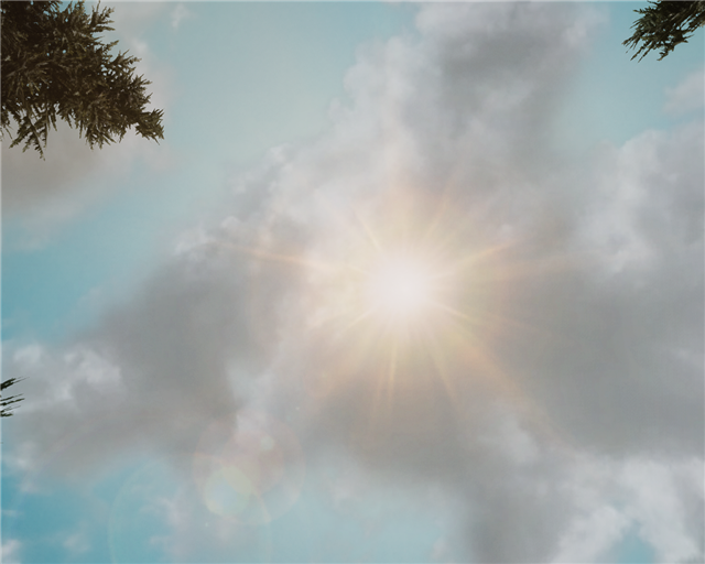 cc7cc6669a5a.png.webp.png