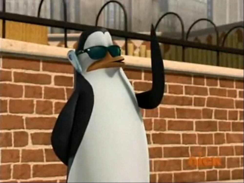 -Check-2-kowalski-13443497-1024-768.jpg.jpeg
