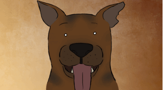 d13150053154.gif