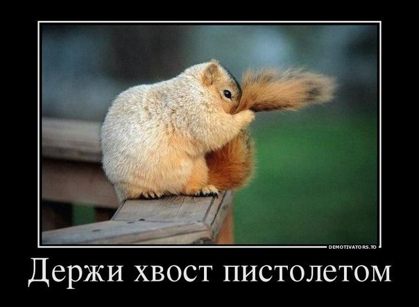 DmoVGtXafLA.jpg.jpeg