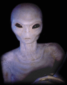 e008bf6a5c684b98d29e68e8a4a059f2.gif