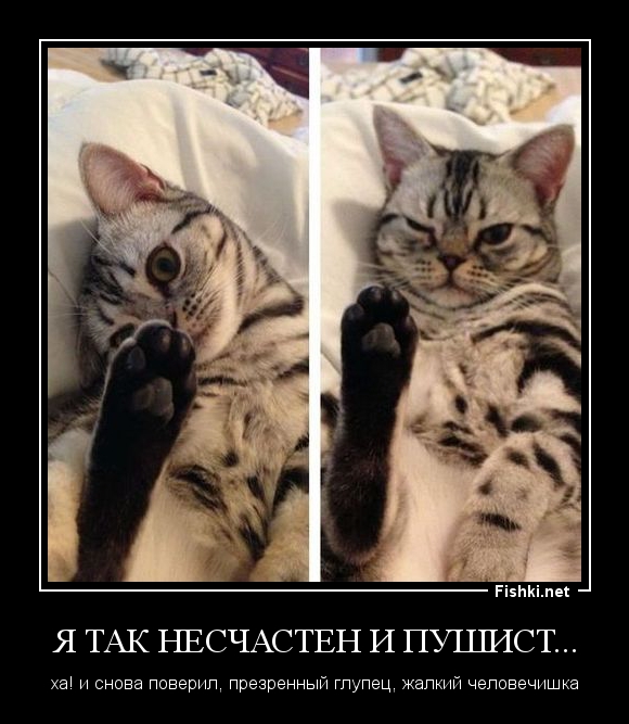 ef82650ab5d7a135afb825e55e70ea46.jpg.jpeg
