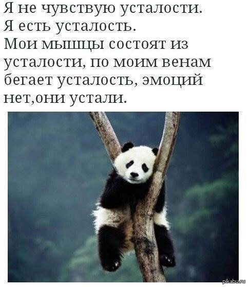 fa8dedfa9957.jpg.jpeg