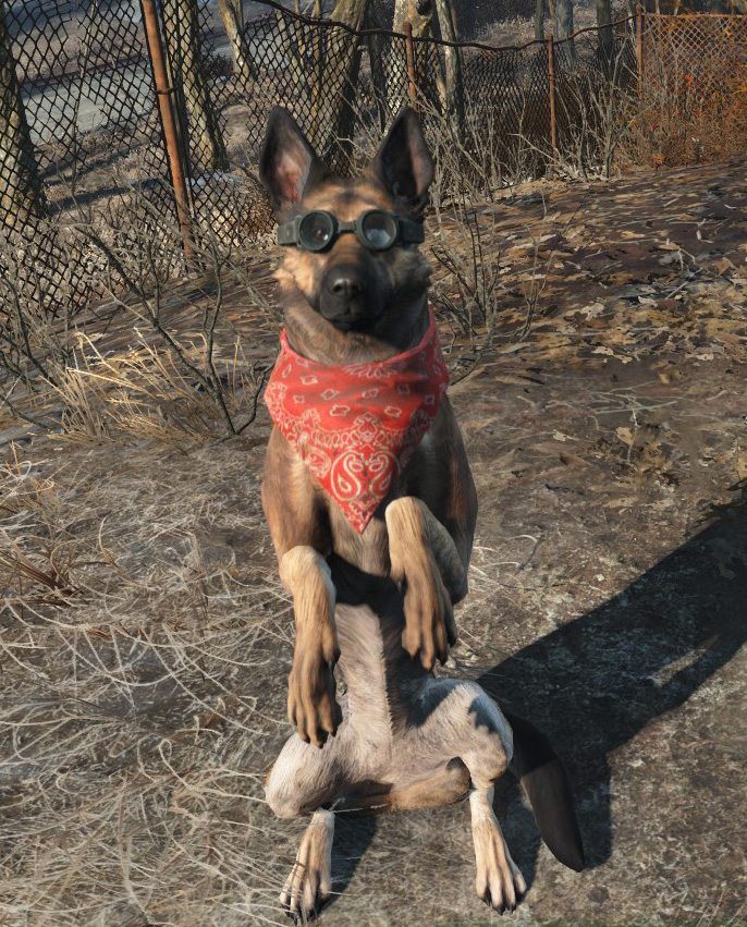 Fallout-4-Fallout-%D1%84%D1%8D%D0%BD%D0%B4%D0%BE%D0%BC%D1%8B-2588281.jpg.jpeg