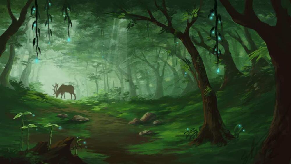 Forest-Concept-Art-by-Alrynnas-4.jpeg
