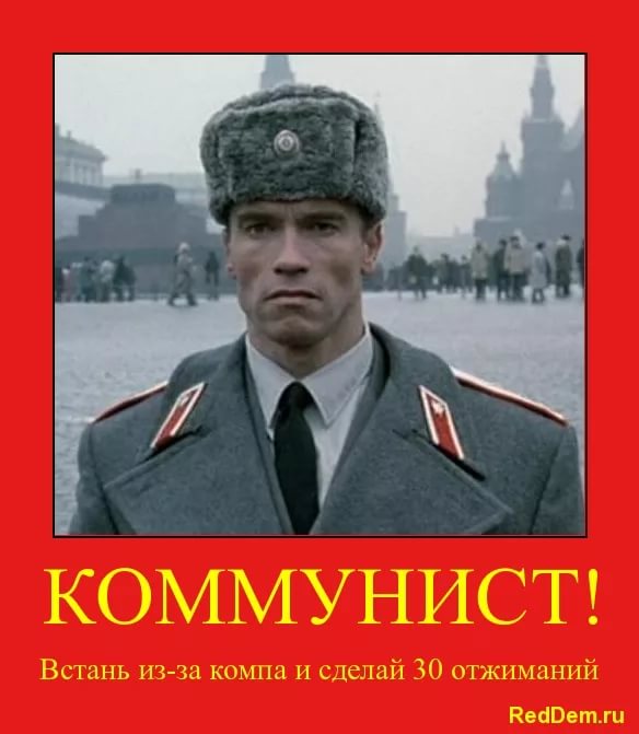 i.jpg.jpeg