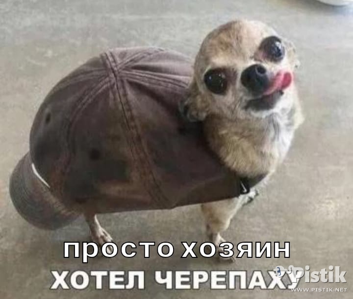IMG-1344.jpg.jpeg