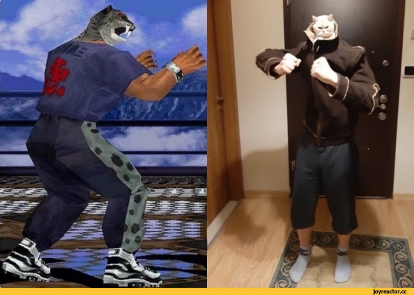 king-%28tekken%29-Tekken-%D0%98%D0%B3%D1%80%D1%8B-%D0%BA%D0%BE%D1%82-6141170.jpg.jpeg