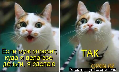 kotomatritsa__-.jpg.jpeg