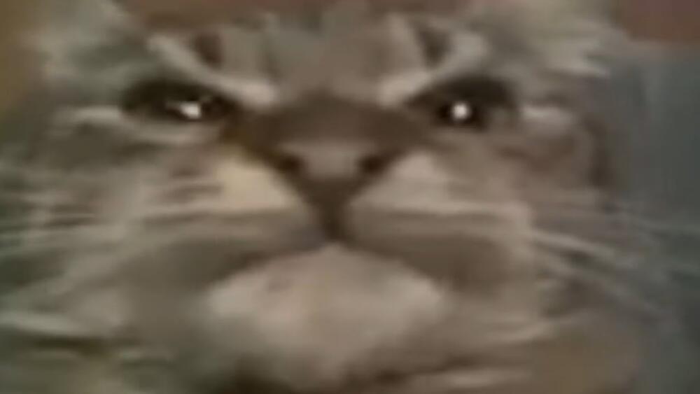 maxresdefault.jpg.jpeg