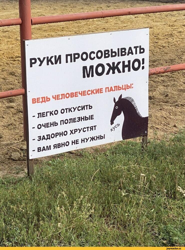%D0%BE%D0%B1%D1%8A%D1%8F%D0%B2%D0%BB%D0%B5%D0%BD%D0%B8%D0%B5-6085574.jpeg