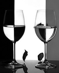 Photo_contrast_01.jpg.jpeg