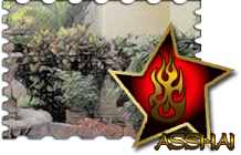 _role_defender.png.png