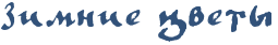 RzimniePcvetq.png.webp.png