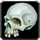 SkullHuman.png.png