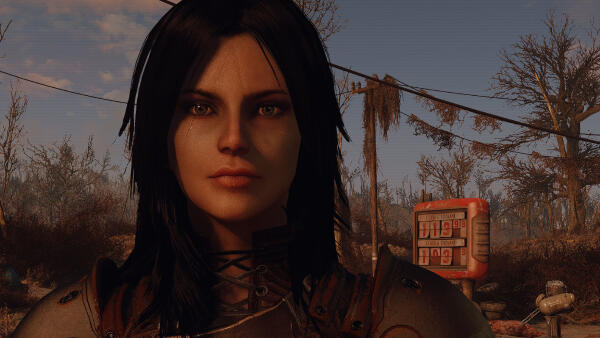 Fallout4