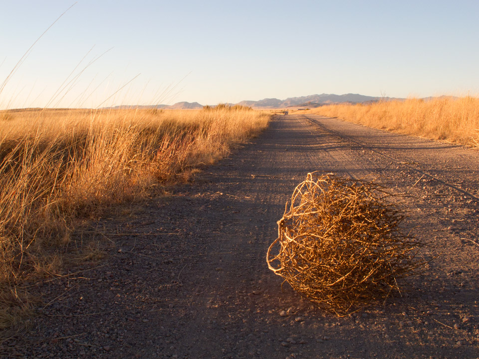tumbleweed.jpg.jpeg