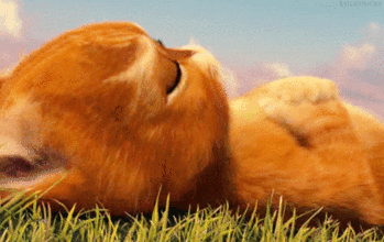 tumblr_mu25okK6t81shv153o1_400.gif