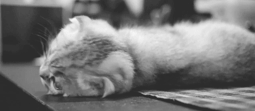 tumblr_nvd1iltiBs1rt2lwpo1_500.gif