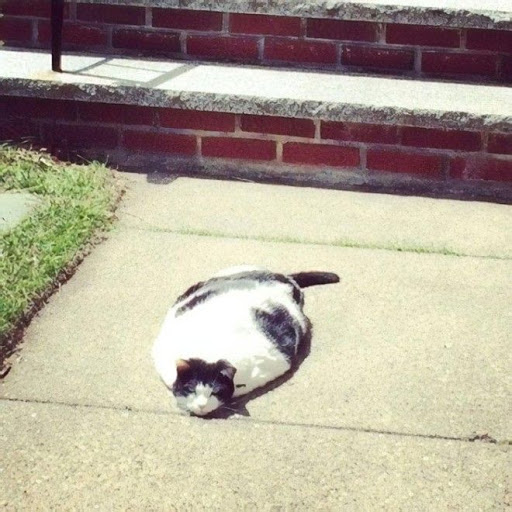 unnamed.jpg.jpeg