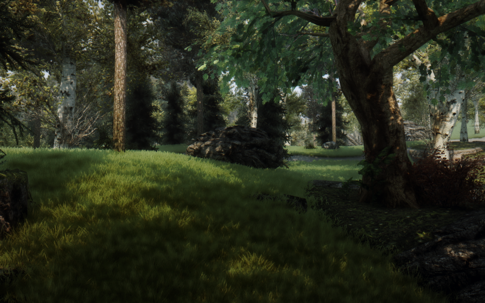 vgS22570_o.png.png
