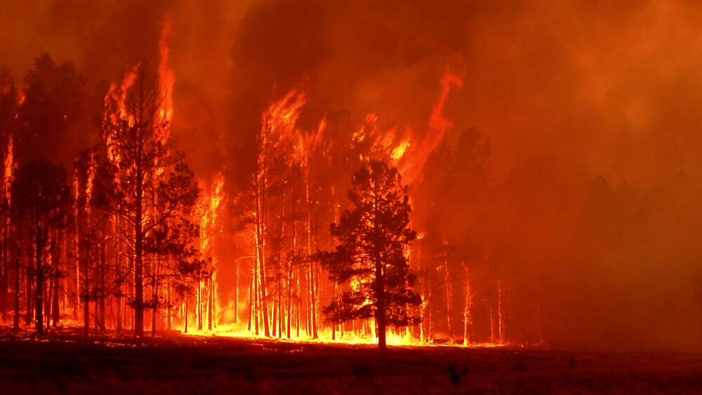 110610_Fire.jpg.jpeg