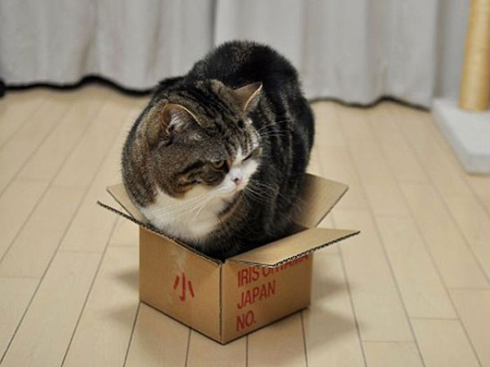 1271650152_doseng.org_001.jpg.jpeg