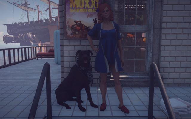 13235570_m.png.webp.png