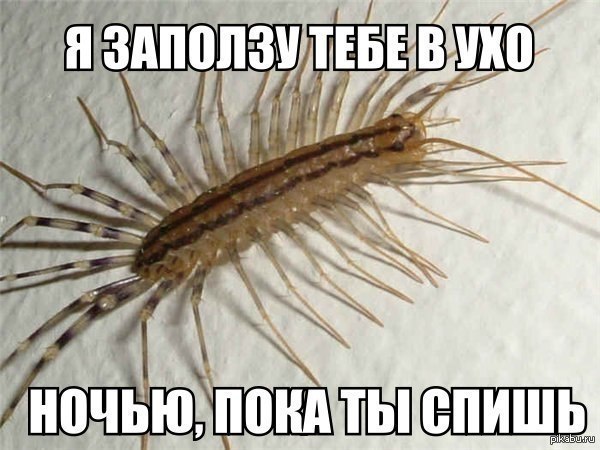 1390462322_2065669255.jpg.jpeg