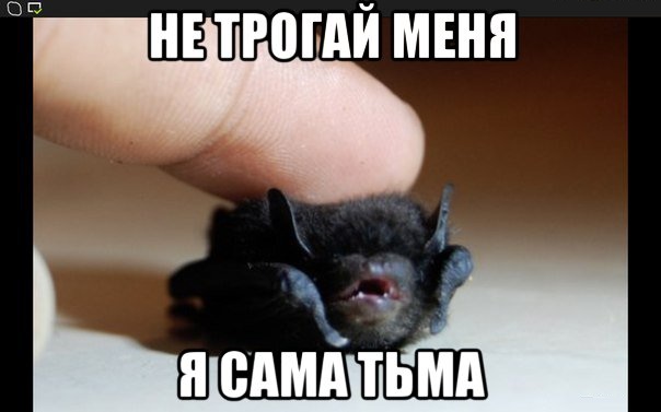 14174358216561.jpg.jpeg