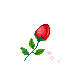14308456451146.gif