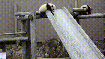 1447392713_229562105.gif