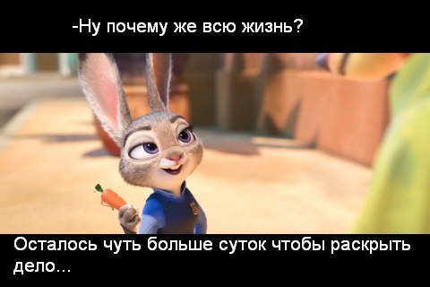 147471207319541031.jpg.jpeg
