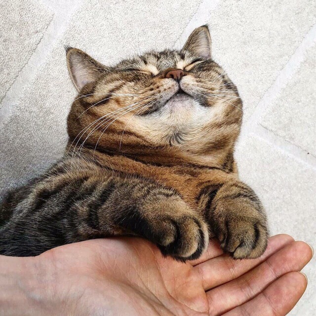 154895313514759034.jpg.jpeg