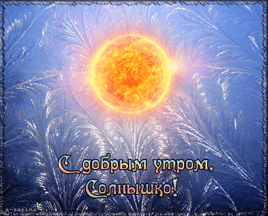 16.gif