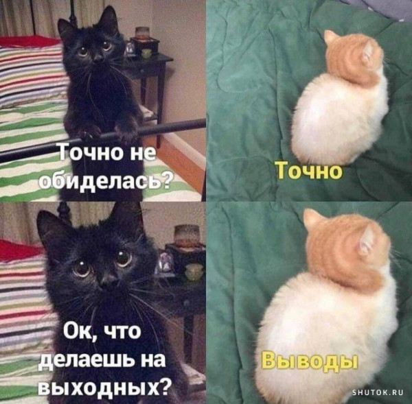 1600151243.jpg.jpeg