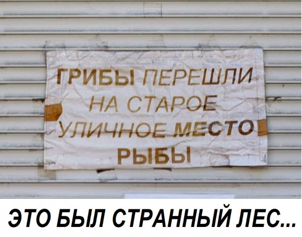 1600278828.jpg.jpeg