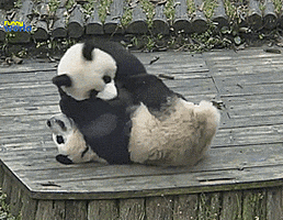 200.gif