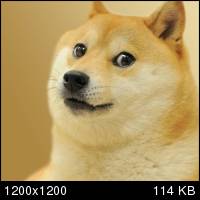 31061fd863bd73f38861847b398bd43e.jpg.jpeg