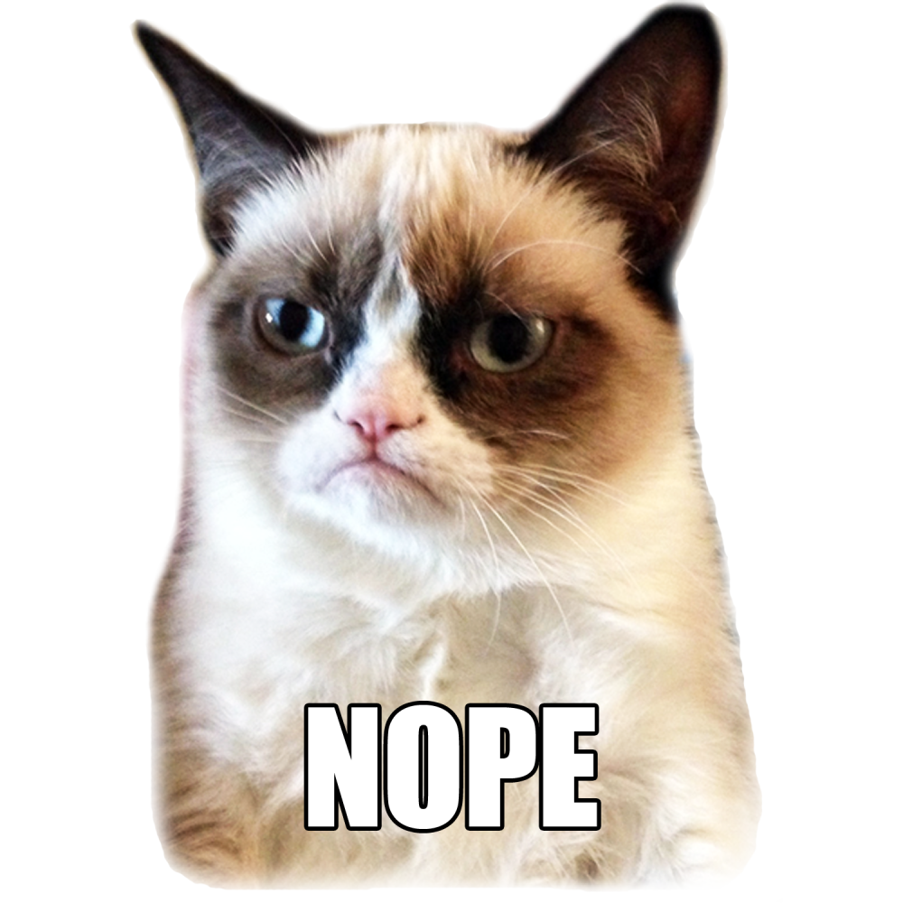 417.png.webp.png