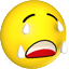 5.gif