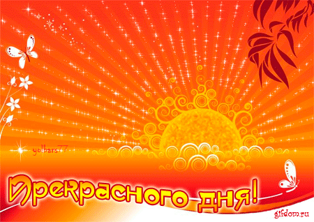 857551368.gif