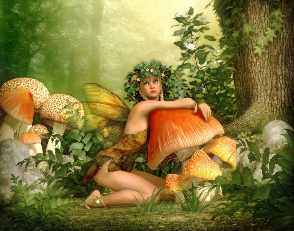depositphotos_43652381-stock-photo-enchanted-wood-3d-cg.jpg.jpeg