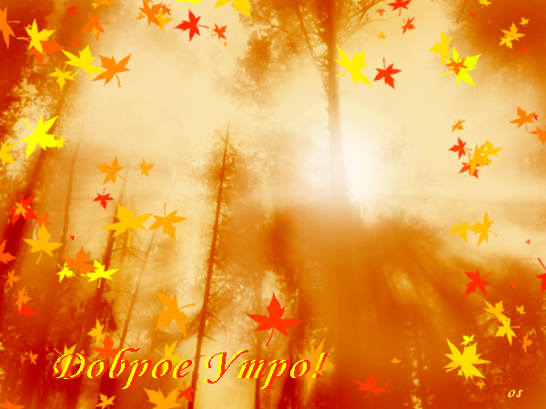%D0%B4%D0%BE%D0%B1%D1%80%D0%BE%D0%B5-%D1%83%D1%82%D1%80%D0%BE1-.jpg.jpeg
